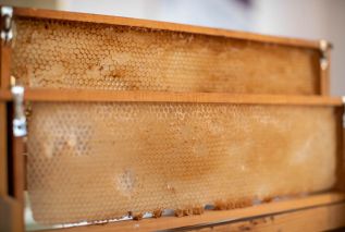 Honey House in Majkovi